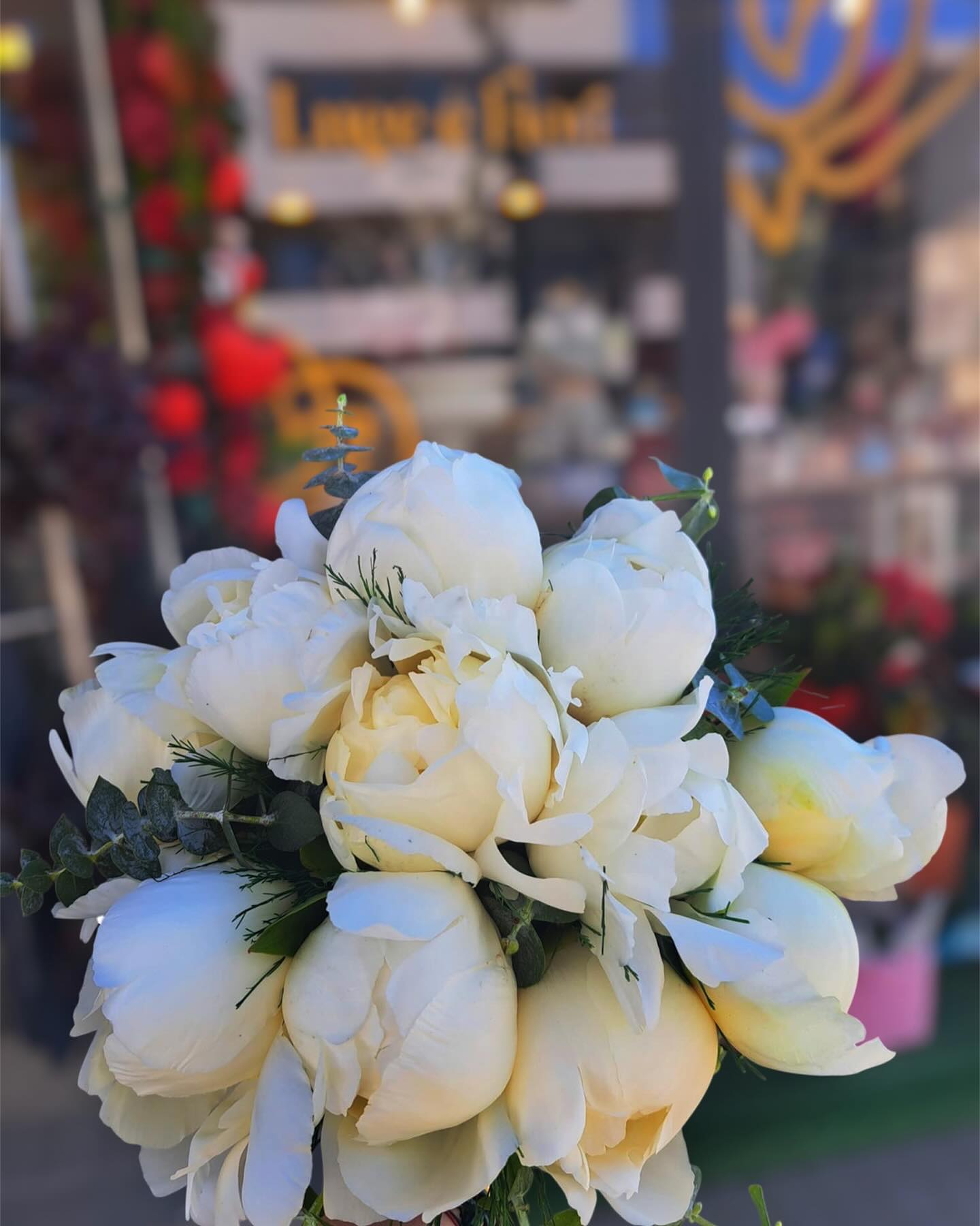 Image Slider